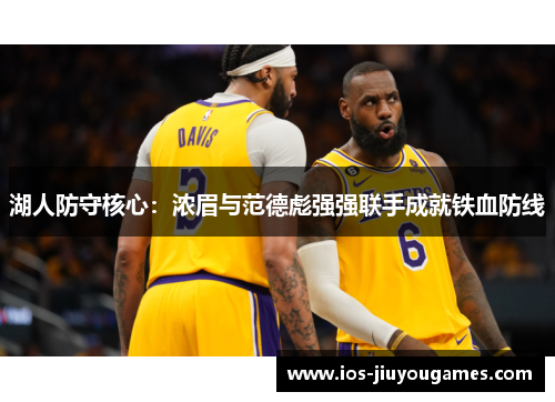 湖人防守核心：浓眉与范德彪强强联手成就铁血防线
